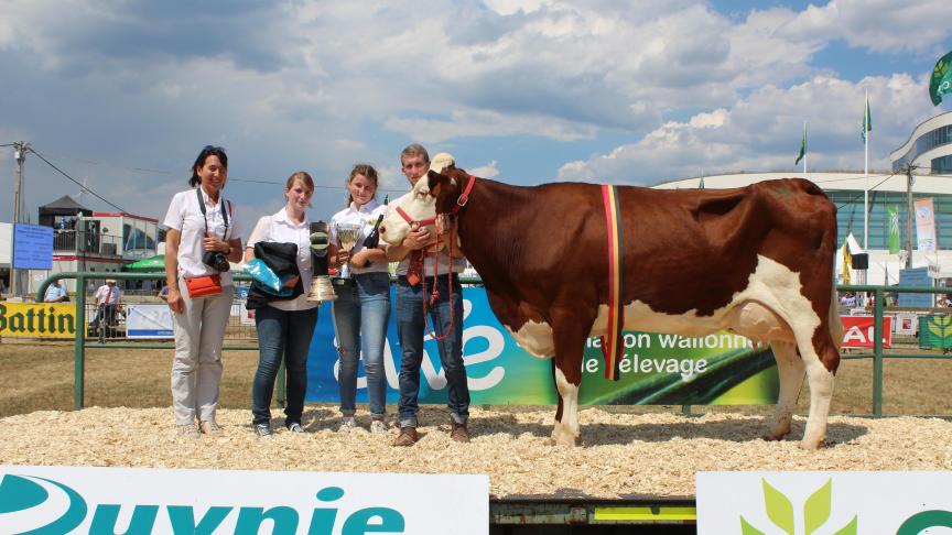 Juste, championne vache et meilleure mamelle adulte, à Christian Gauthier, Momignies.
