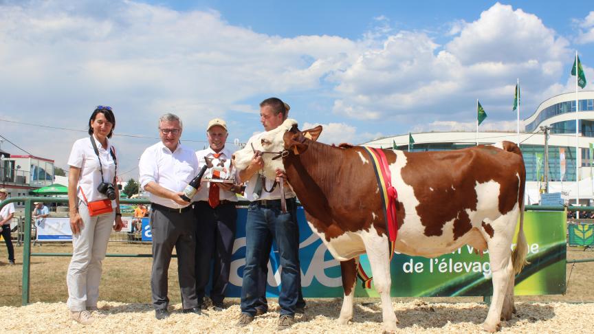 Jubilaire, championne jeune, à Philippe Counasse de Chevron.