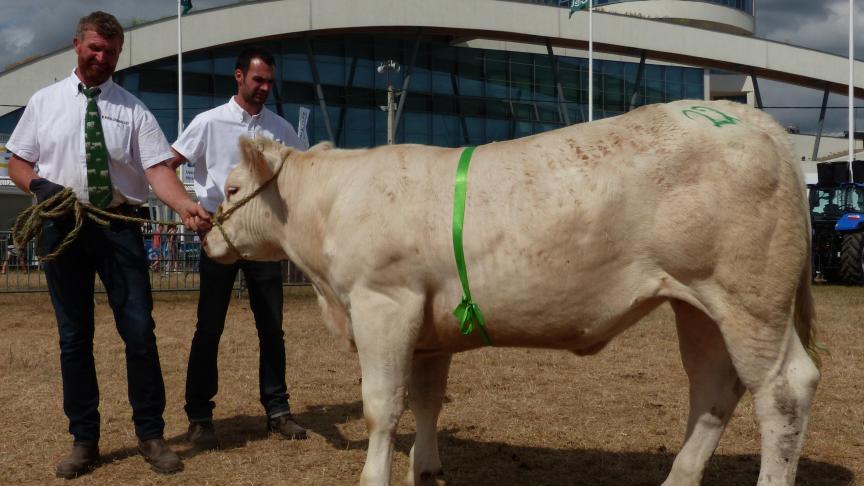 Nanou, 1 er prix des génisses d’1 à 2 ans, à Serge et Bertrand Desert et M-F Lemaire.