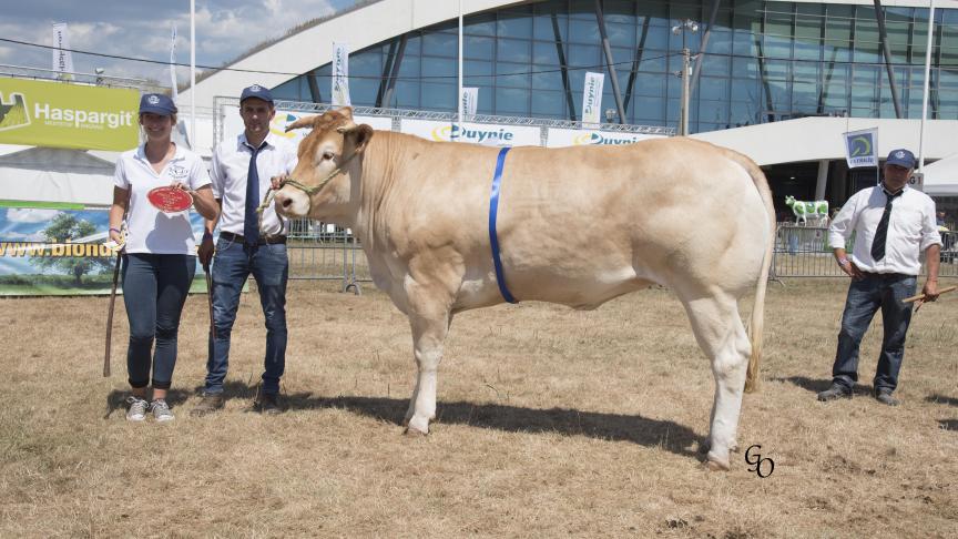 Malicieuse de Roda (Horfe X Ucaltor), 1 er  prix des femelles de 2 à 3 ans,  à Jean-Pol Nollevaux, Graide.