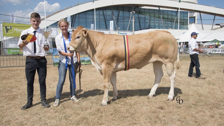 Nefertiti des Pahys (Illico X Ete), championne des jeunes femelles, à Jean-Pierre Marcourt, Ouffet.
