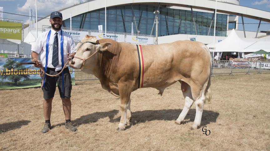Majeur du Frenaie (Gouda X Alcazar), champion des espoir mâles et Belgian Supreme Champion, à Jean-Luc & Xavier Pierret, Orgeo.