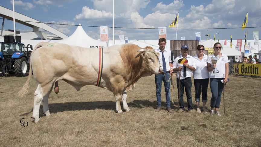 Jambon (Dustin X Aligo), champion des mâles adultes, à Jan Laurijssen, Rijkevorsel.