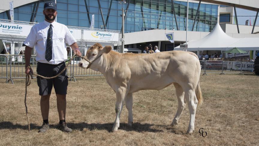 Nina (Laureat X Daktari), 1
er
prix des femelles de 7 à 12 mois, à Jean-Luc & Xavier Pierret, Orgeo.