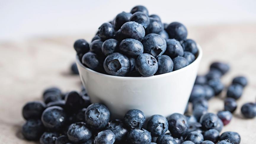 bilberries-2559051_1920