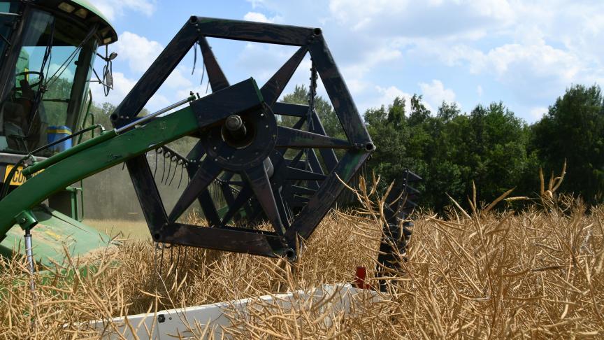 Le colza d’hiver vient de connaître une saison très compliquée. Une nouvelle campagne commence, tous les espoirs sont permis.