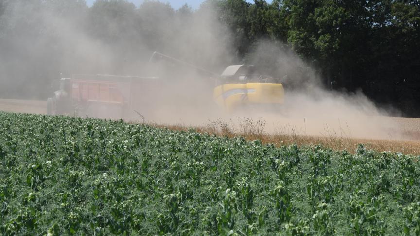 Les conditions économiques requises dans la législation devraient également, sur base des premiers constats rentrés, normalement être rencontrées.