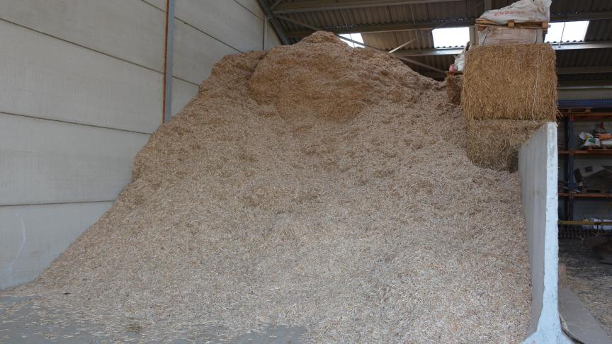 Outre les bûches, pellets et autres plaquettes de bois,  le miscanthus constitue un agrocombustible de premier choix.