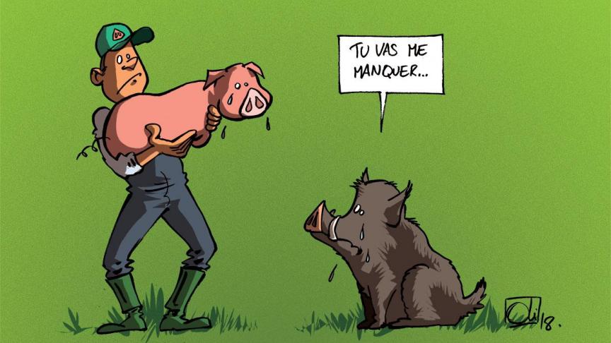 Des mesures essentielles pour éviter toute contamination des porcs d’élevage.