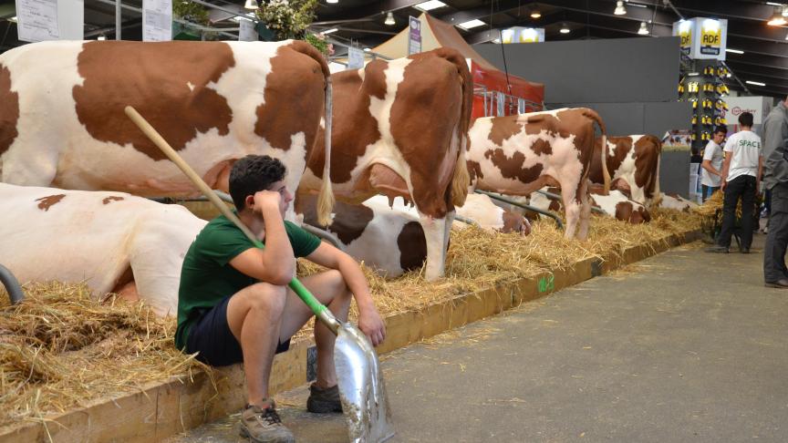 Une allée vide, un moment rare qu’il convient d’apprécier.
