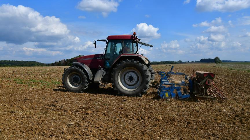 La sécheresse poursuit ses effets. Victime la plus récente: le colza, dont les semis n’ont pas couvert les surfaces intialement prévues.