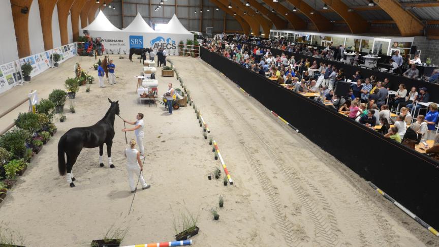 L’édition de Ghlin 2018 a encore une fois tenu toutes ses promesses en mettant en avant  le fleuron des élevages wallons.