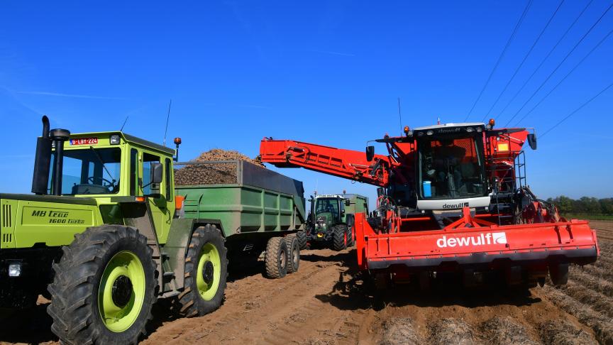 Les récoltes progressent et confirment, hormis de rares exceptions, un défaut de rendement significatif au regard de la moyenne des 5 dernières années.