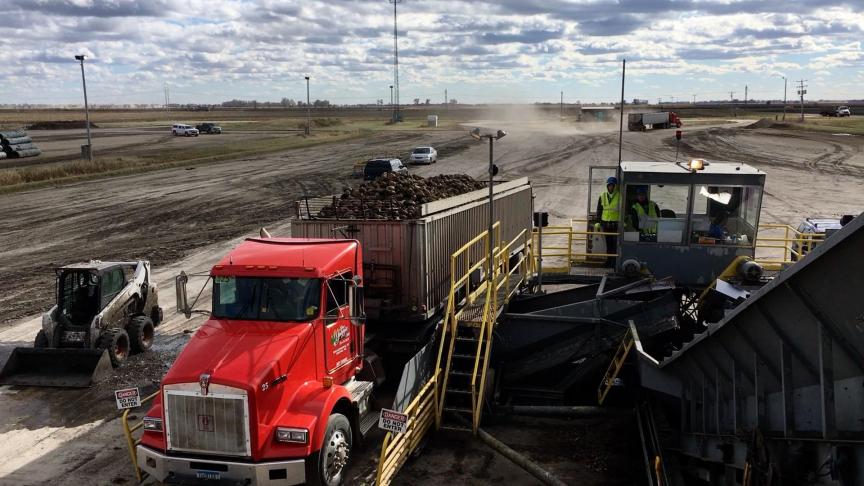 Le ballet des camions entre les champs et les stations de réception est incessant pendant les 3 premières semaines d’octobre. La logistique est réglée au cordeau. Toute marchandise potentiellement nuisible pour une conservation de longue durée est fermement refusée!