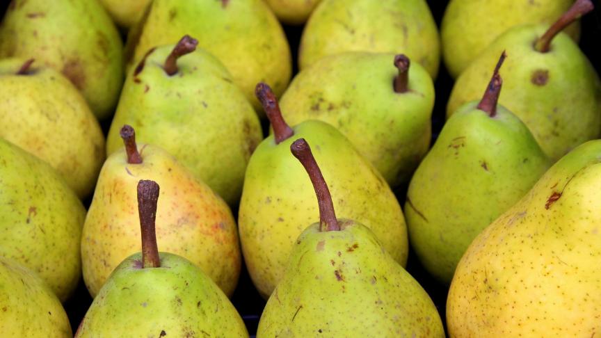 pears-3784442_1920