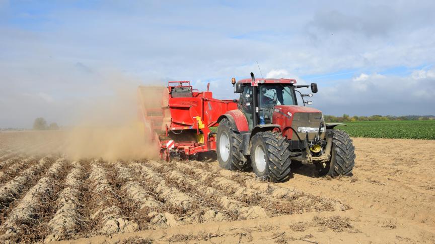 La construction des arracheuses traînées est dominée par l’arracheuse déportée.  Le principal avantage est l’emploi d’un tracteur à pneus larges.