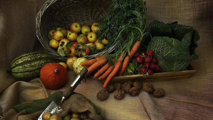 harvest-3679075_1920