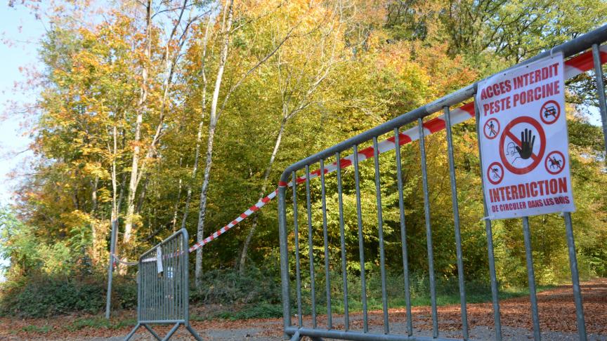 Dans la zone de vigilance, il n’est actuellement pas prévu d’interdire la circulation ou l’exploitation forestière.