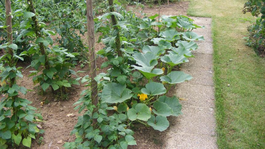 Un petit sentier permet d'accéder aussi bien au potager qu'a des espaces  de repos ou de promenade. La jonction s'établit naturellement.