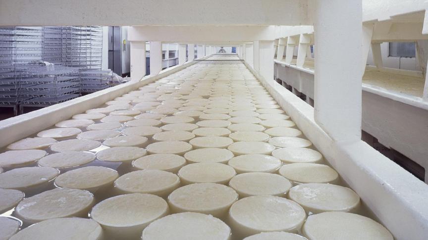 cheese-721145