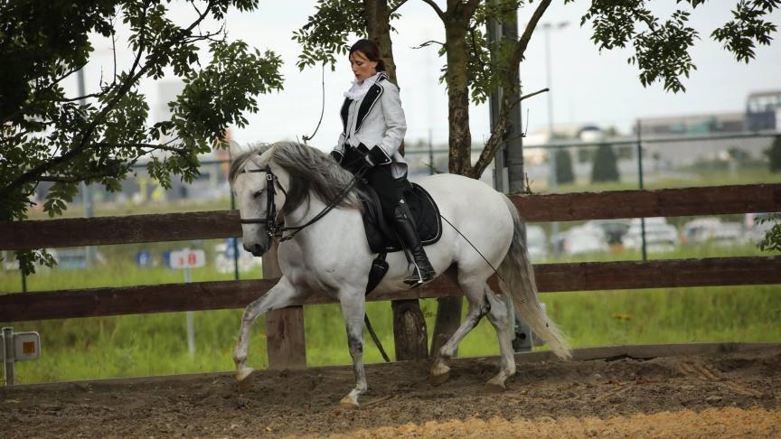 La base, le rythme, les mains fixes, une bonne position…. Quelques principes essentiels du dressage classique sur lesquels Noémie reste intransigeante lors de son enseignement.