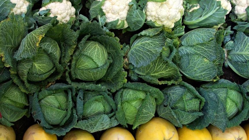 vegetables-1736170_1920