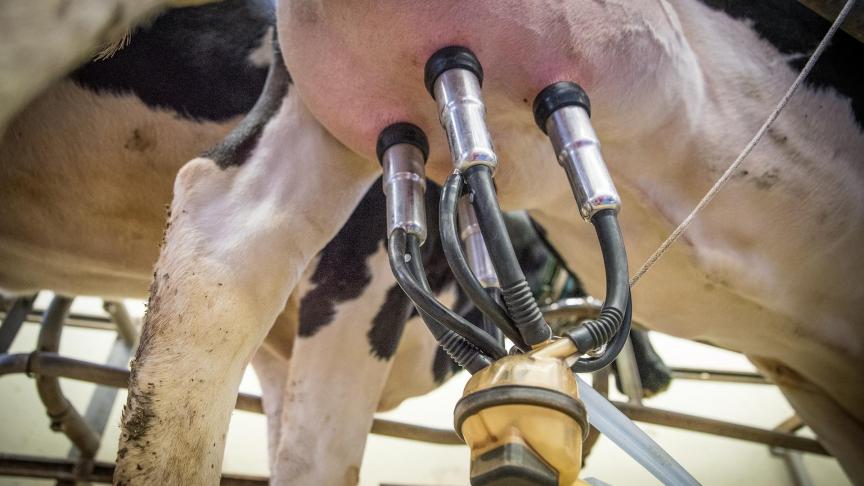 milk-3455395_1920