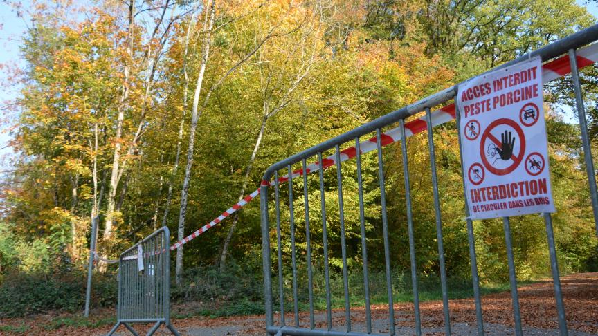 Suite à la découverte de deux cadavres infectés à proximité de la frontière franco-belge, la zone tampon s’élargit à l’ouest de 3.700
ha. En outre, la zone de vigilance au nord du périmètre infecté a été étendue de 856
h à proximité de Florenville.