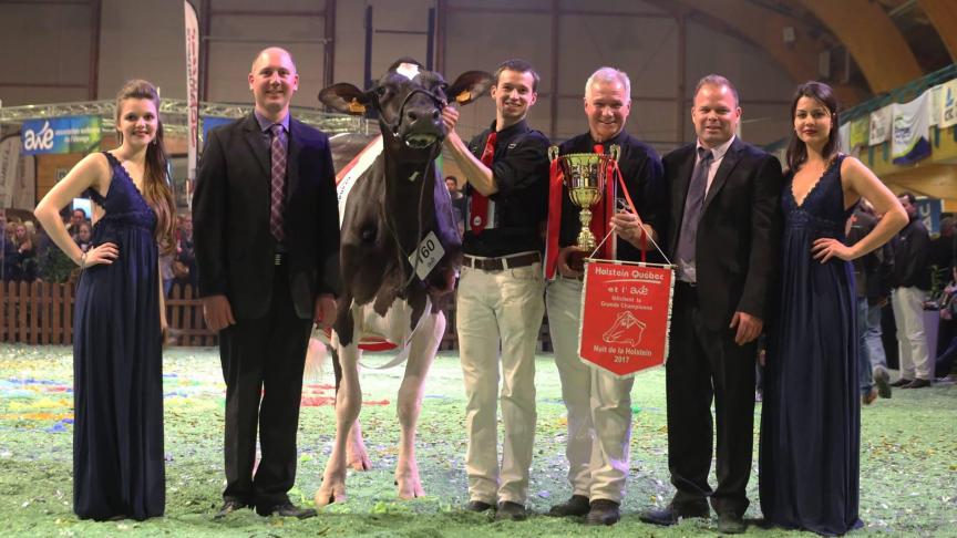 Lors de la Nuit de la Holstein 2017, Lasid de Bois Seigneur, descendante de Comestar Laurie Sheik, est sacrée grande championne. Elle a actuellement 3 filles dans l'exploitation d’Eddy et Jonas Pussemier.