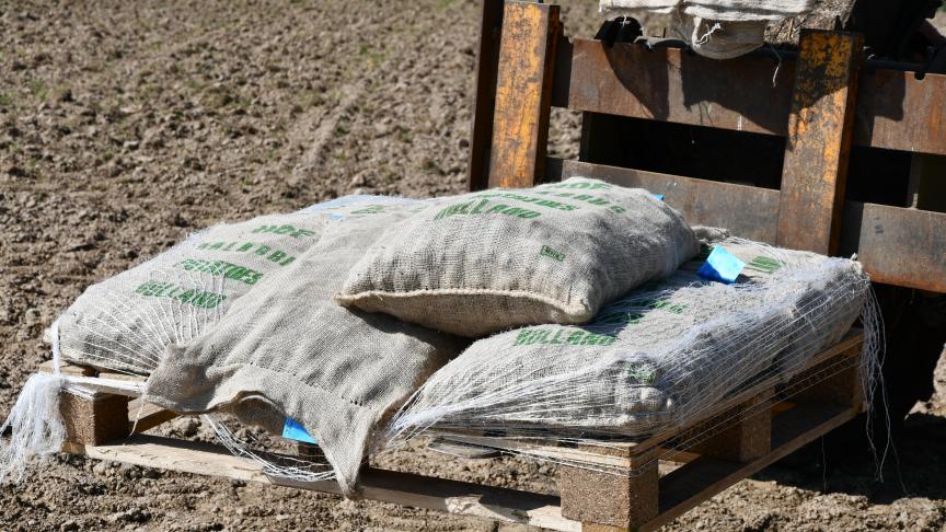 Du côté des plants, aux problèmes  de disponibilités s’ajoute une solide  hausse des prix!