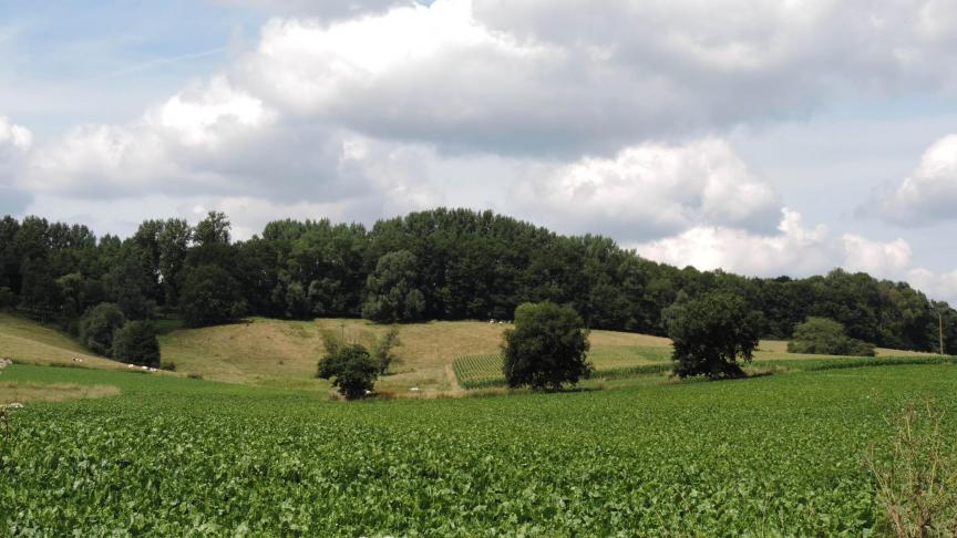 Les paysages constituent le thème de ce concours photos 2019.