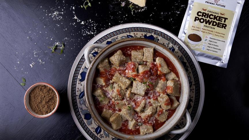 primal-future-2863078_1920