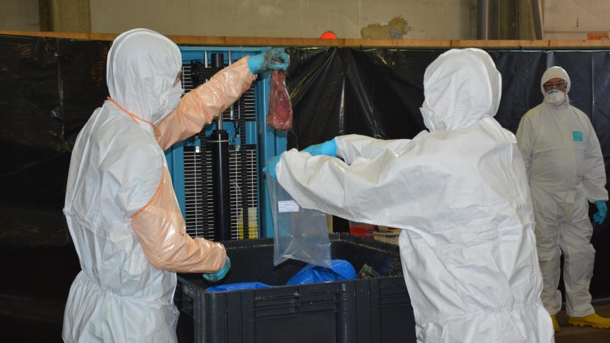 Alors que se poursuivent les analyses des carcasses potentiellement contaminées par le virus, un nouveau pas a été franchi sur plan judiciaire.