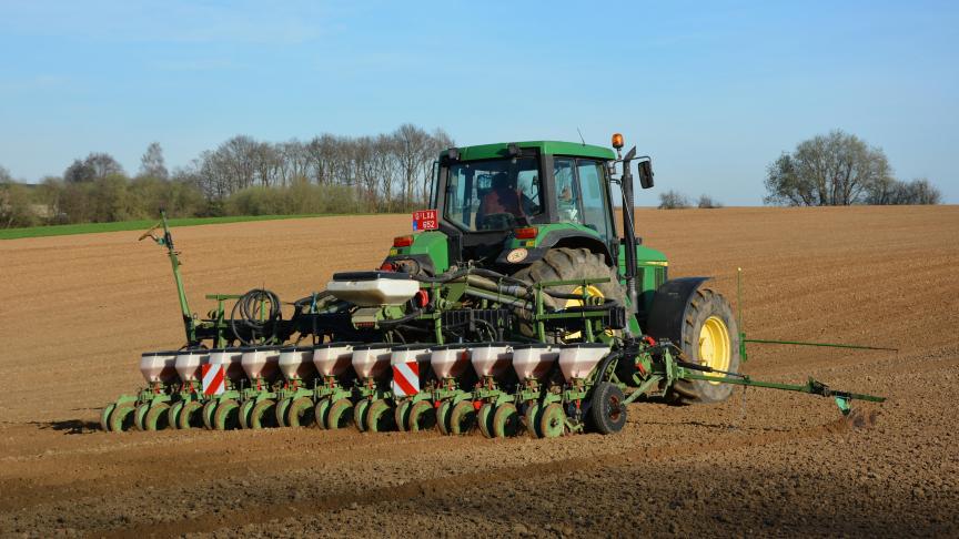 Avant d’être admises au catalogue national, ces nouvelles variétés de betteraves sucrières ont été soumises à une batterie de test.