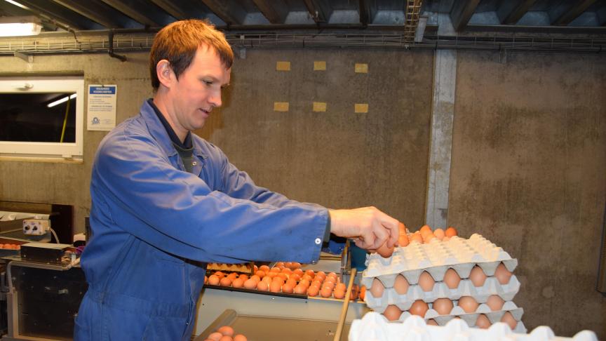 Via commerces locaux, Ignace écoule ses oeufs au prix de 25 cents la pièce.
