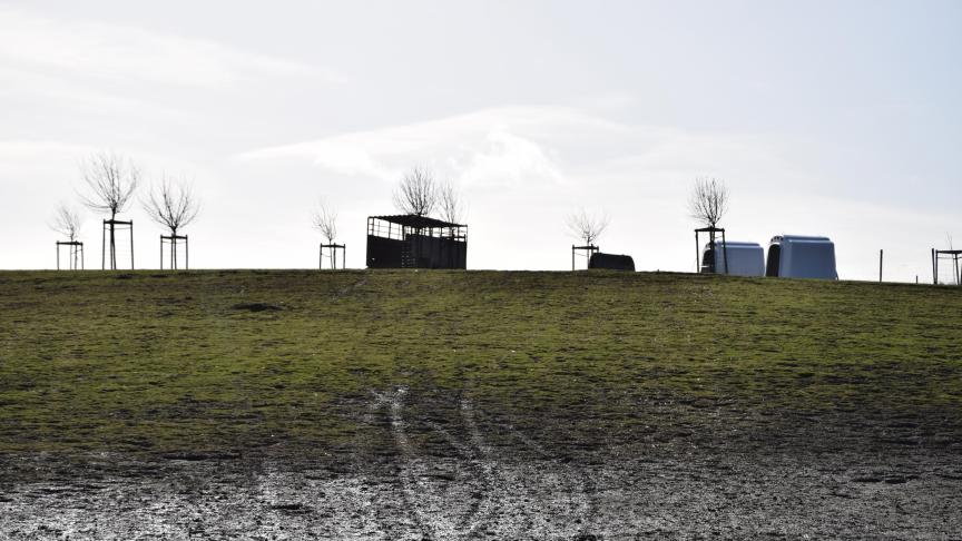 Les poules ont accès à un parcours aménagé de 3 ha. Une surface 3 supérieure à la norme de 4m² par poule dans le cas d’Ignace.