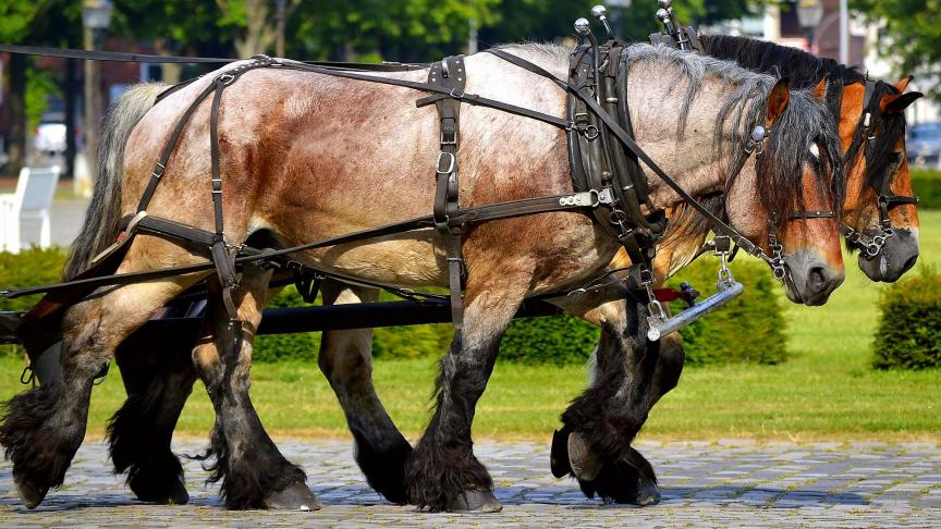 Les dossiers de candidature sont attendus pour le 5
avril prochain.