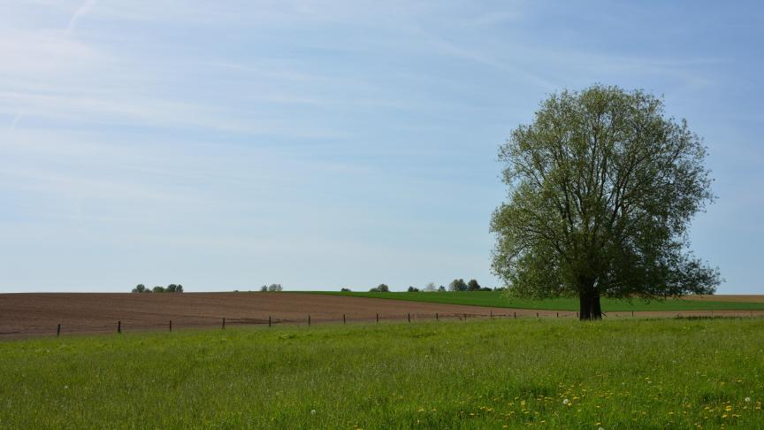 Si la superficie d’une parcelle contrôlée est supérieure à ce qui a été déclaré, l’administration apporte 
les corrections nécessaires pour que l’exploitant 
bénéficie de l’aide correcte.