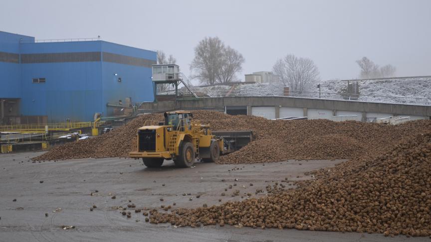 «Il n’y a jamais eu d’impact sur la capacité de travail des planteurs et il n’est pas question de changer cela», dit Erwin Boonen.