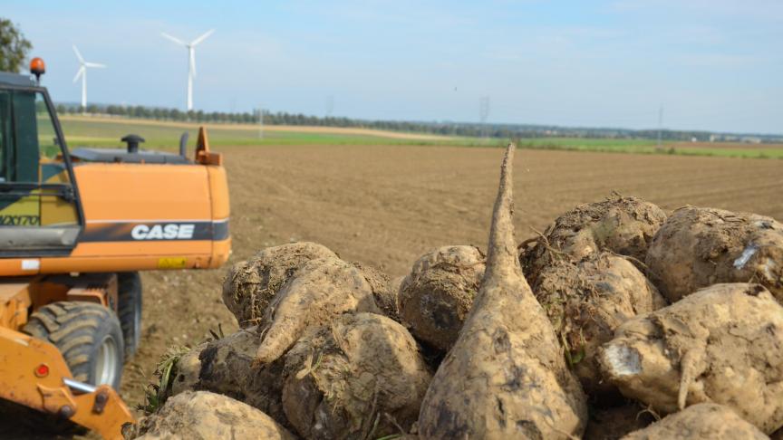 « 1.300 sympathisants et betteraviers qui investissent dans une coopérative wallonne,  c’est un engagement extrêmement fort pour lequel on se doit d’aller jusqu’au bout.  Aujourd’hui le projet est concret et devrait convaincre un plus grand nombre».