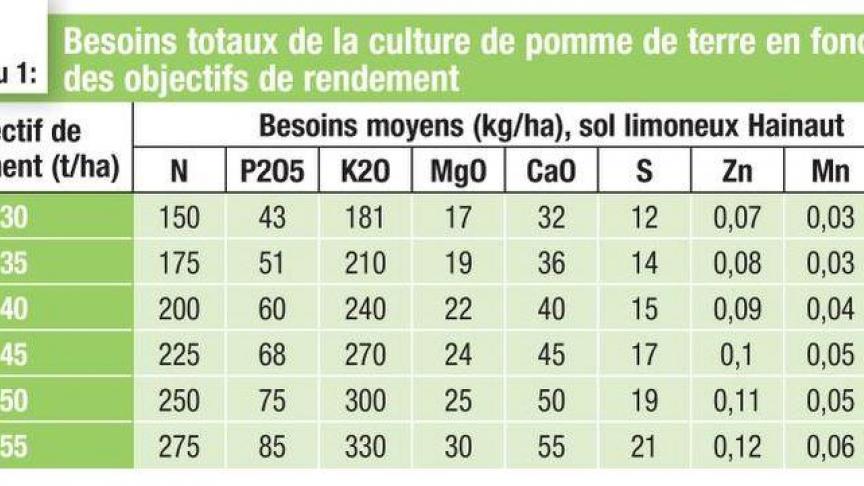 FUMURE1 (2)