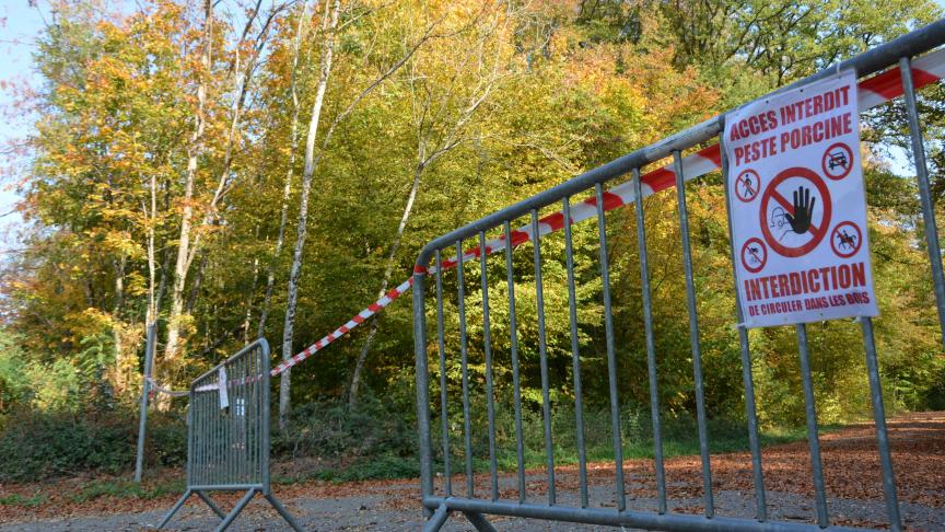 La zone tampon occupe désormais  près de 60.000 ha.