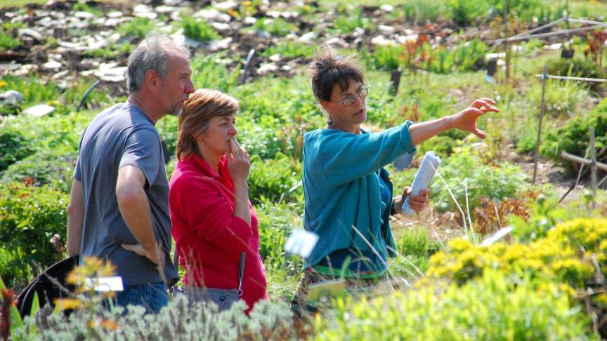 Que vous soyez passionné de jardinage ou jardinier débutant,  découvrez toutes les facettes de la production ornementale de notre région,  comme ci-dessus, chez L’Ortie-Culture à Stave.