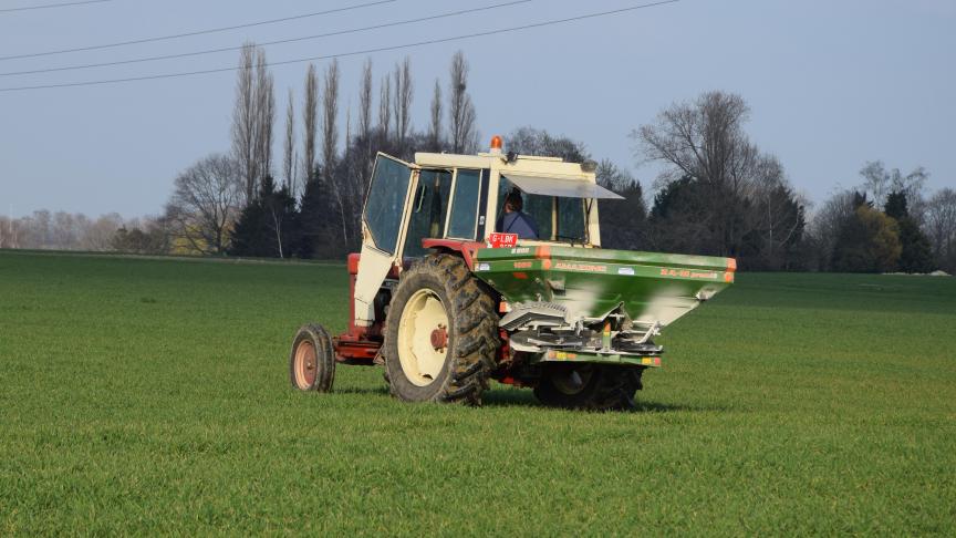 Les apports azotés seront ajustés selon le précédent cultural.