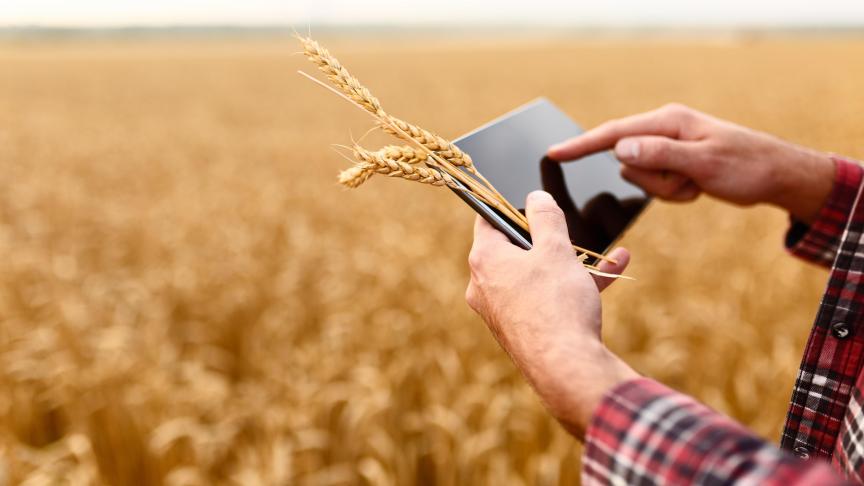 AdobeStock_165342095