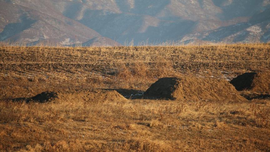 north-korea-2386759_1920