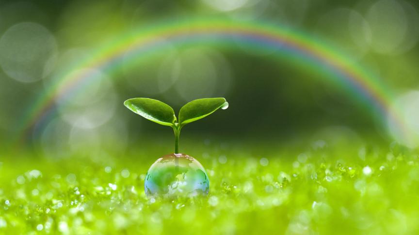 En matière de protection du climat, bien que l’agriculture puisse faire partie du problème,  le secteur est également porteur de solutions.