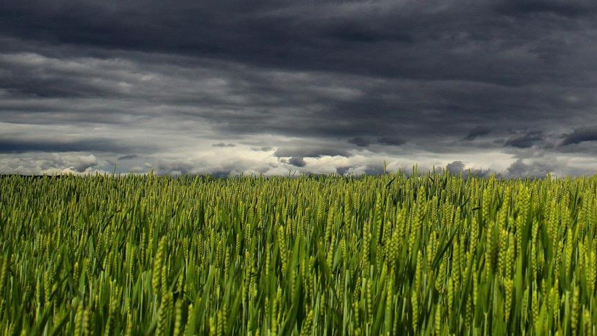 clouds-194840_1920