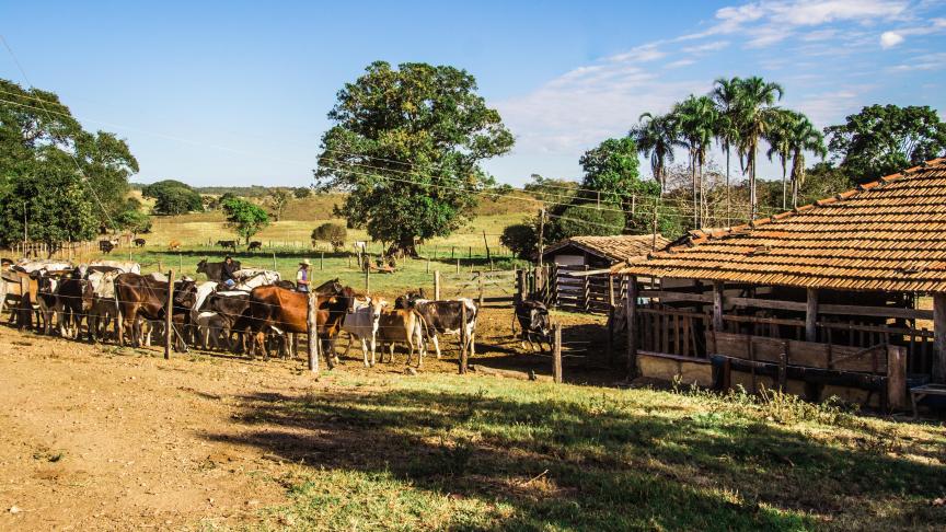 AdobeStock_163254782