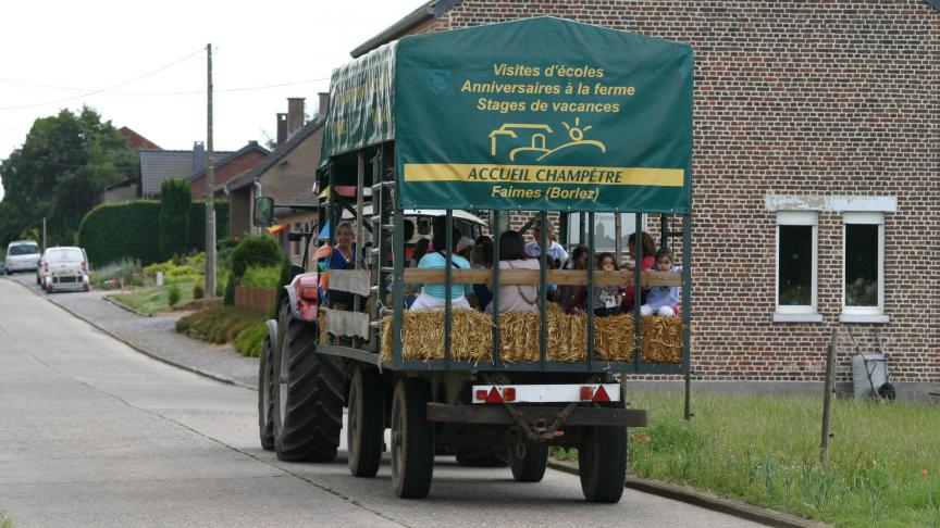 Après une matinée auprès des animaux, place au chariot western pour aller à la découverte des cultures et des vergers.